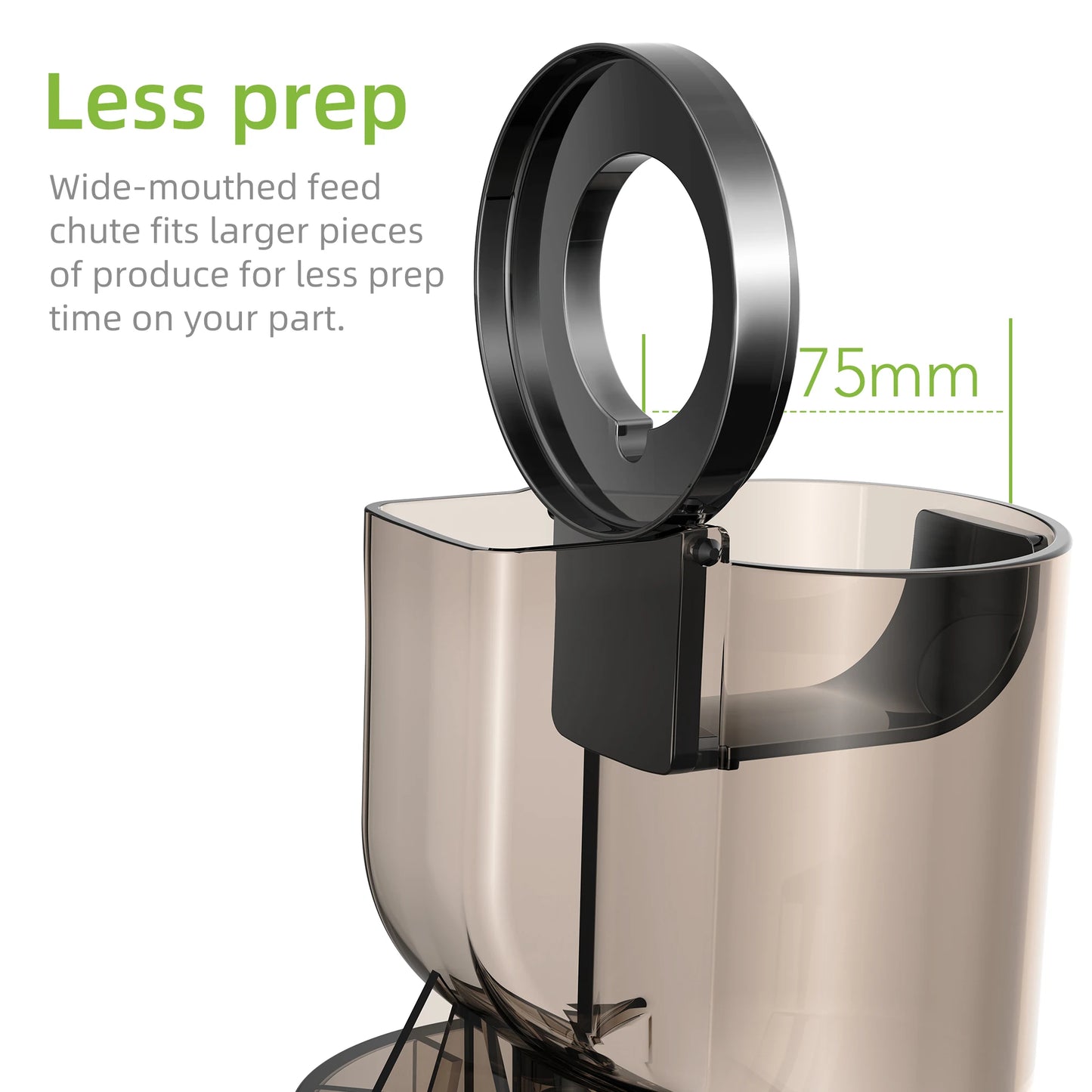BioloMix Cold Press Juicer
